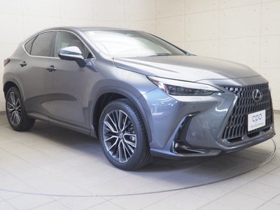 LEXUS NX - 8