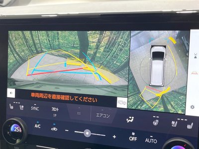 2025 TOYOTA ALPHARD — фото 4