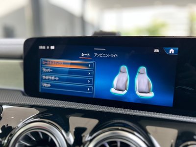 2025 Mercedes-BENZ A-CLASS AMG — миниатюра 31