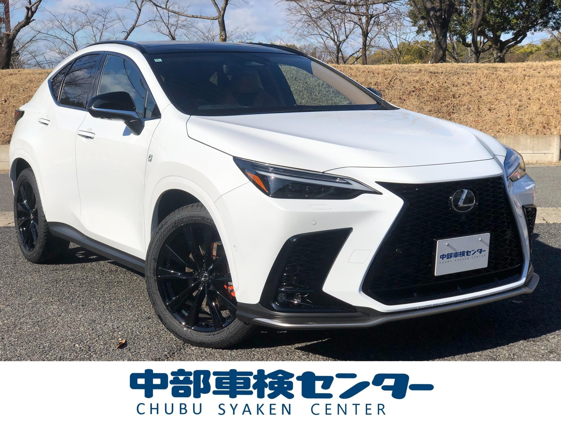 LEXUS NX - View 1