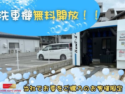 TOYOTA LAND CRUISER 250 - 6