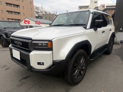 TOYOTA LAND CRUISER 250 - 10