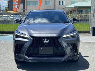 2023 Lexus NX 照片 8