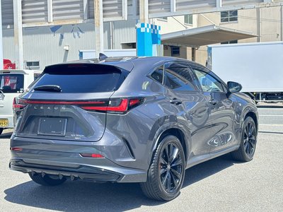 2023 Lexus NX 照片 7