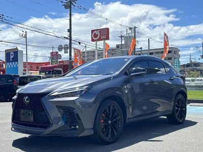 2023 Lexus NX 照片 6