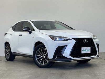 2023 Lexus NX 照片 45