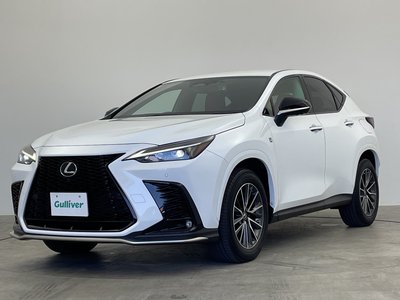 2023 Lexus NX 照片 47