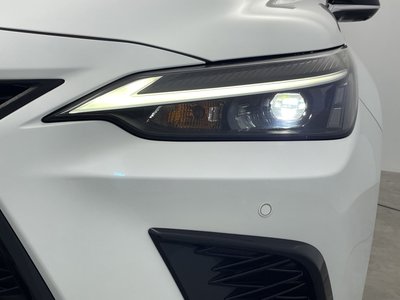 2023 Lexus NX 照片 56