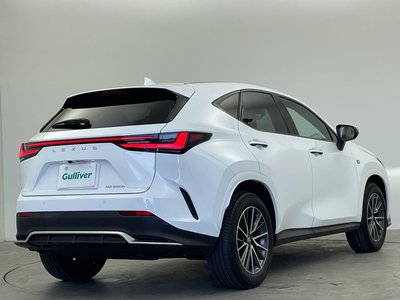 2023 Lexus NX 照片 51