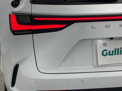 2023 Lexus NX 照片 65