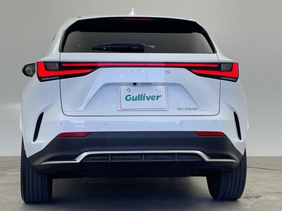 2023 Lexus NX 照片 50