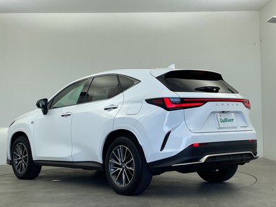 2023 Lexus NX 照片 49