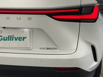 2023 Lexus NX 照片 66