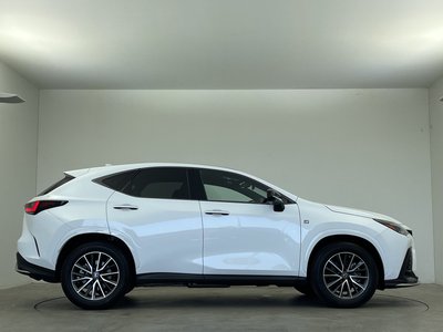 2023 Lexus NX 照片 52