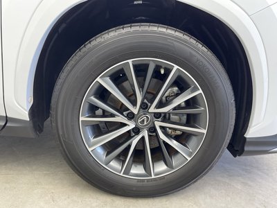2023 Lexus NX 照片 70
