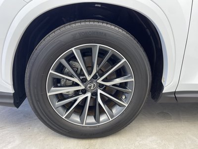 2023 Lexus NX 照片 72