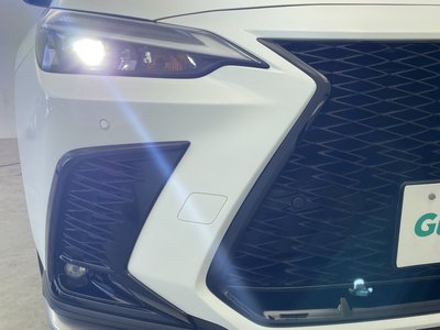2023 Lexus NX 照片 53