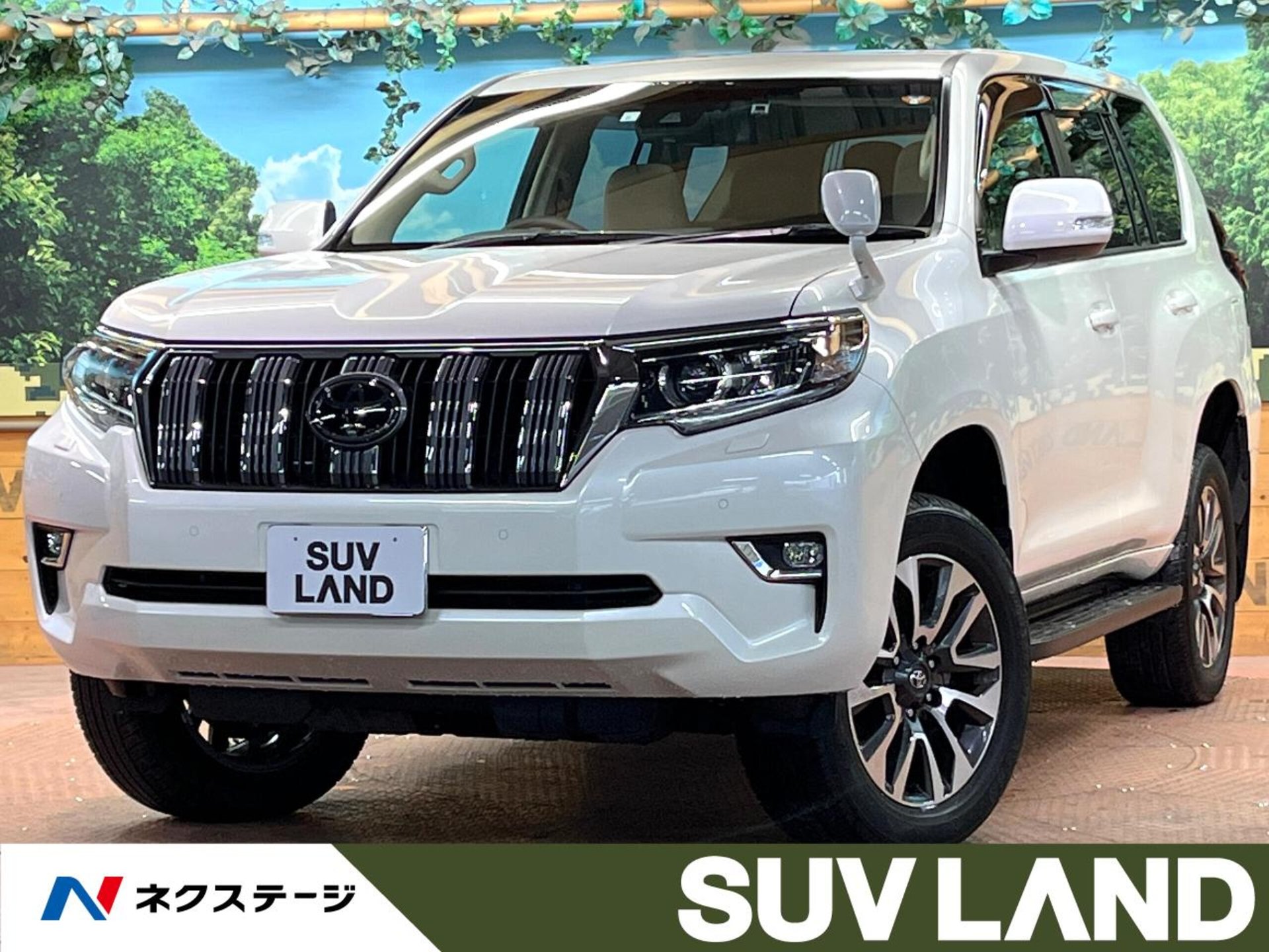 TOYOTA LAND CRUISER PRADO - View 1