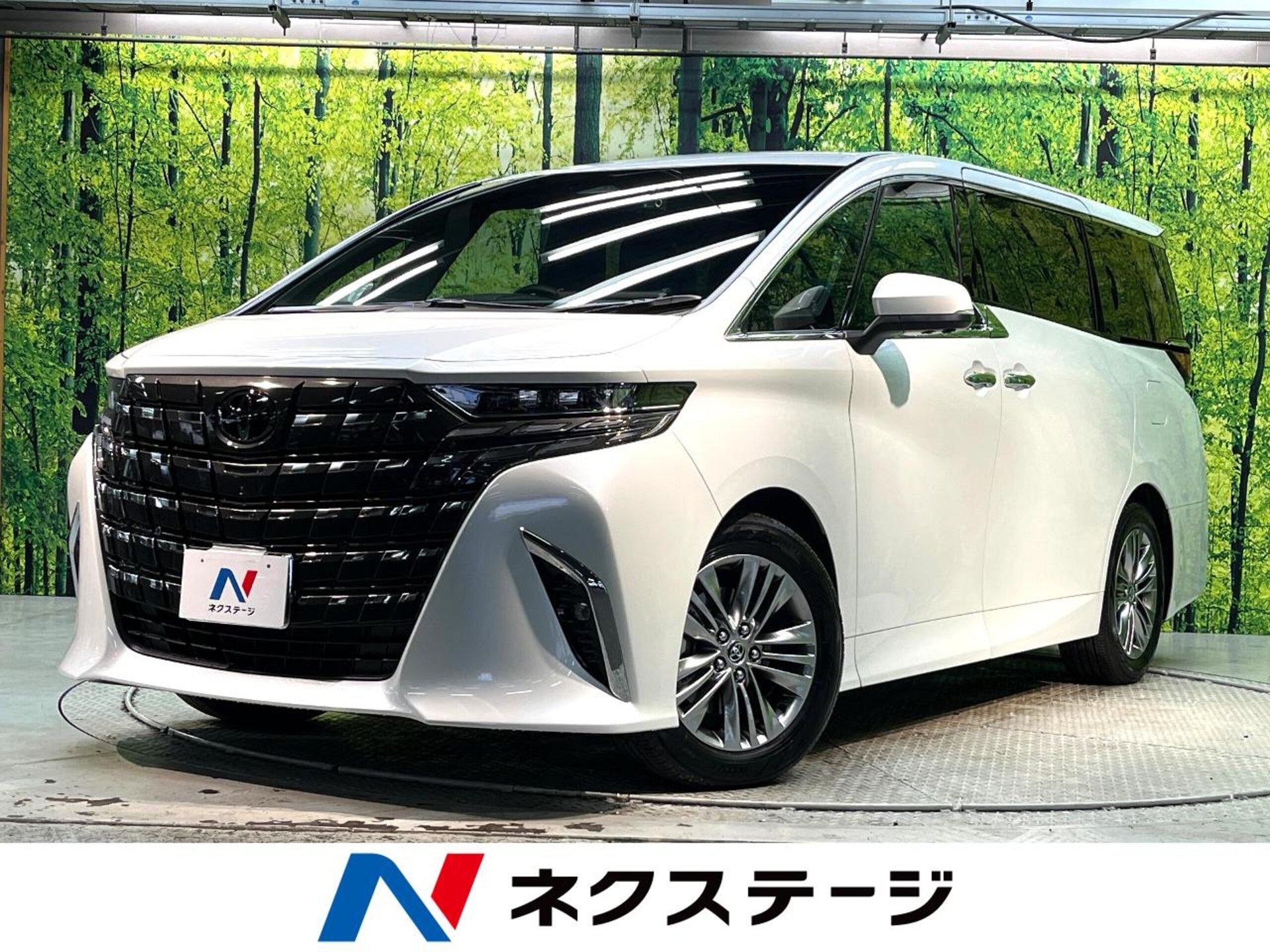 TOYOTA ALPHARD - View 1