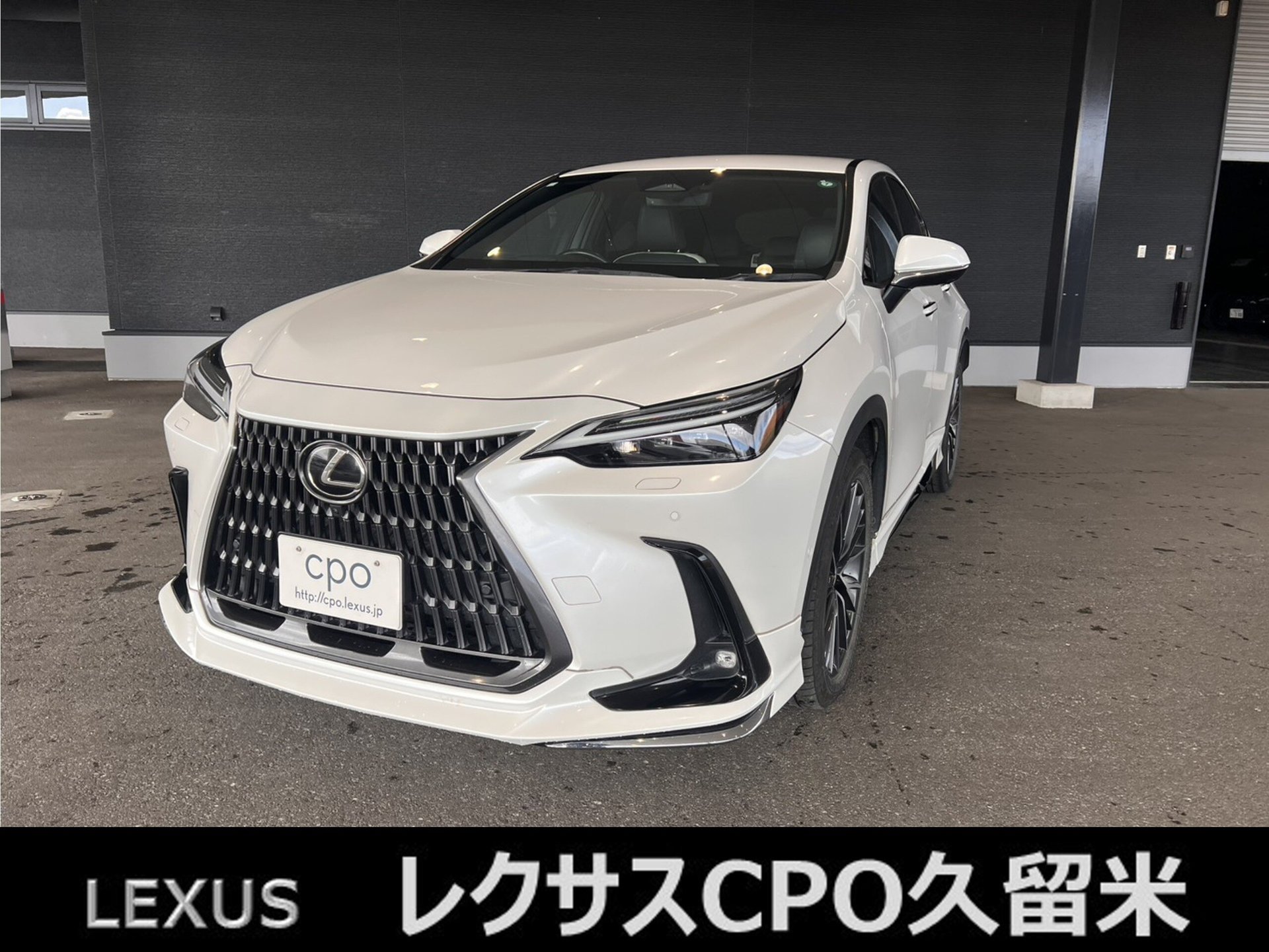 LEXUS NX - View 1