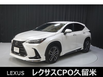 LEXUS NX - 1