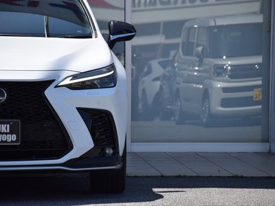 LEXUS NX - 10