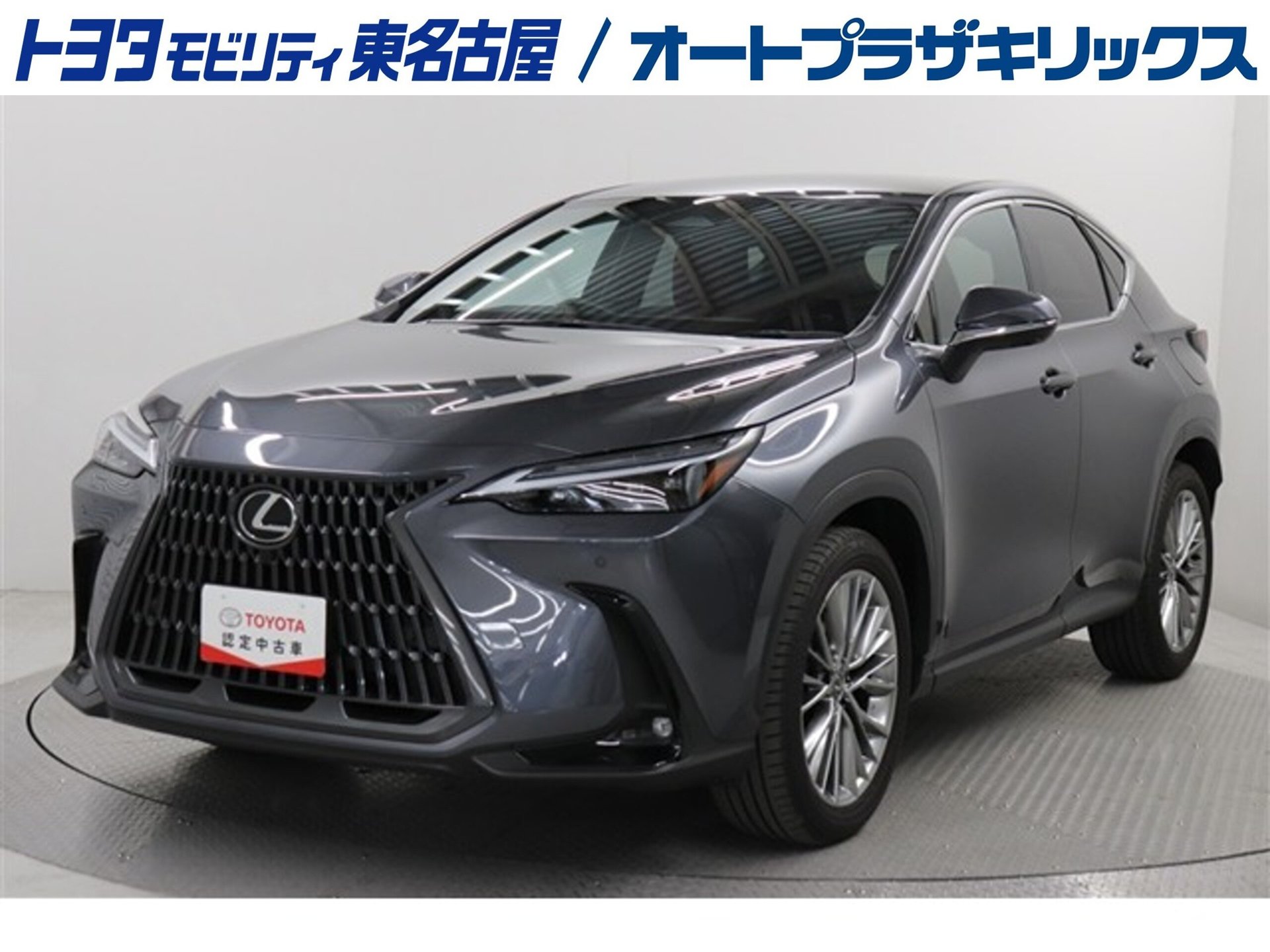 LEXUS NX - View 1