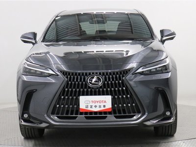 LEXUS NX - 10