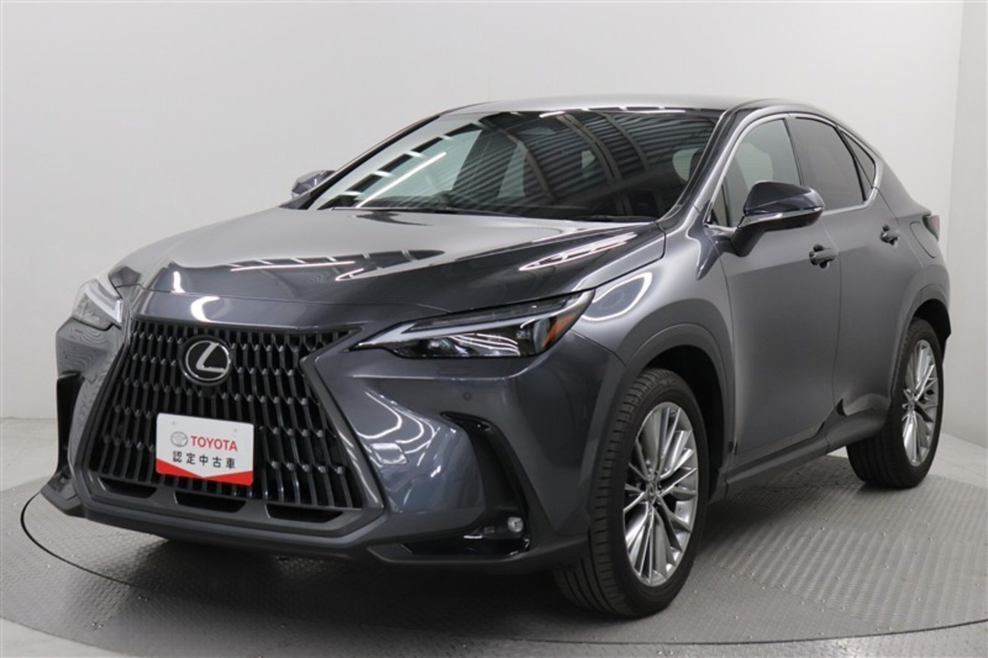 LEXUS NX - View 1