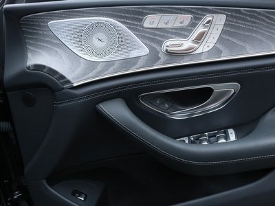 2019 Mercedes-BENZ GT AMG — миниатюра 16