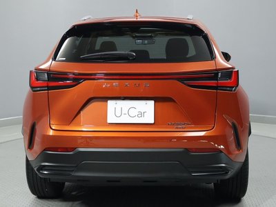 LEXUS NX - 10
