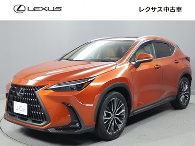 LEXUS NX - 1
