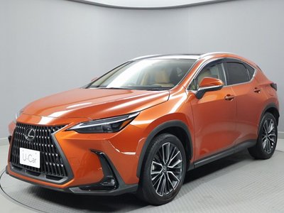 LEXUS NX - 9