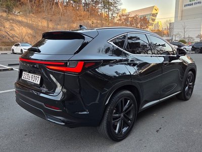 LEXUS NX - 6