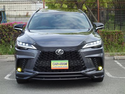 LEXUS RX - 6