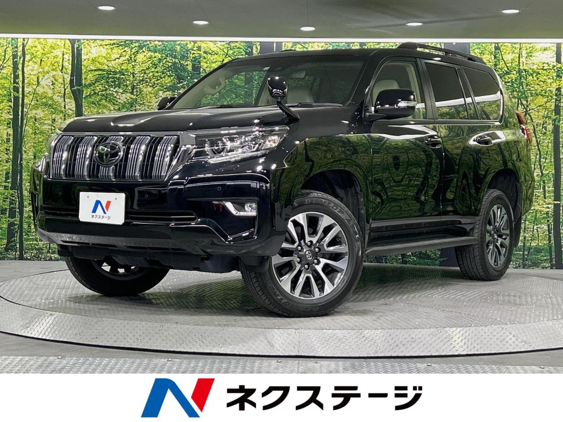 TOYOTA LAND CRUISER PRADO - View 1