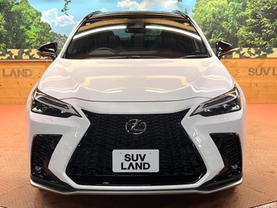 2025 Lexus NX — миниатюра 15