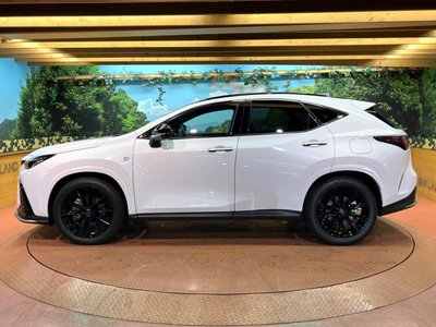 2025 Lexus NX — миниатюра 49
