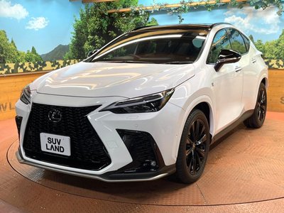 2025 Lexus NX — миниатюра 50