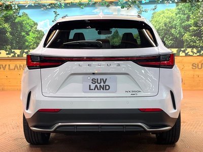 2025 Lexus NX — миниатюра 16
