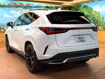 2025 Lexus NX — миниатюра 52