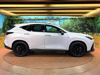2025 Lexus NX — миниатюра 51