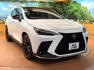 2025 Lexus NX — миниатюра 36