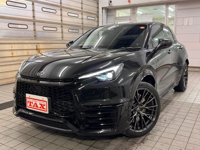 LEXUS LBX