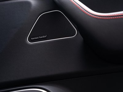2021 Maserati LEVANTE 照片 8