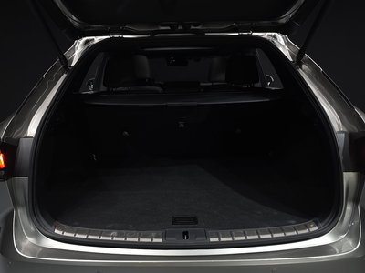 2023 Lexus RX — миниатюра 26
