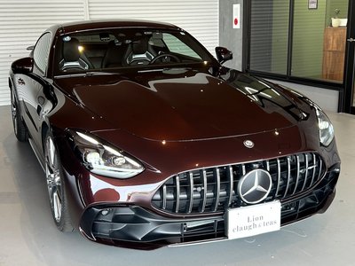 2025 Mercedes-BENZ GT AMG thumbnail 68