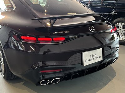 2025 Mercedes-BENZ GT AMG thumbnail 70