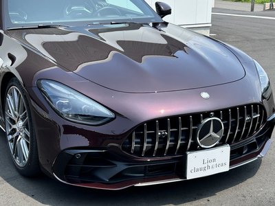 2025 Mercedes-BENZ GT AMG thumbnail 25