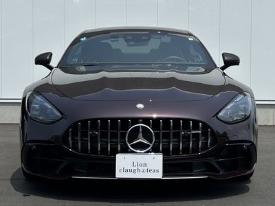 2025 Mercedes-BENZ GT AMG thumbnail 30